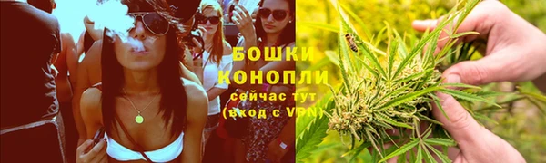 PSILOCYBIN Алзамай