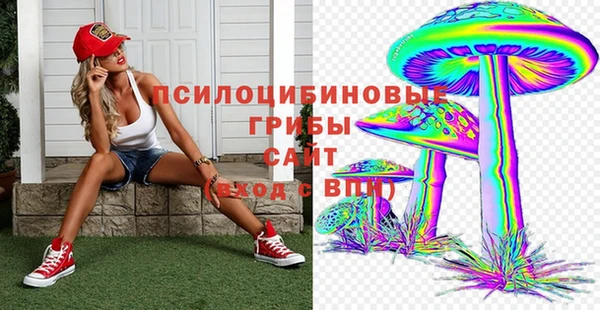 PSILOCYBIN Алзамай