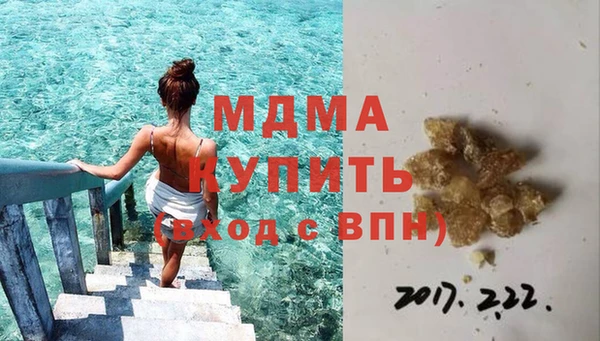 PSILOCYBIN Алзамай