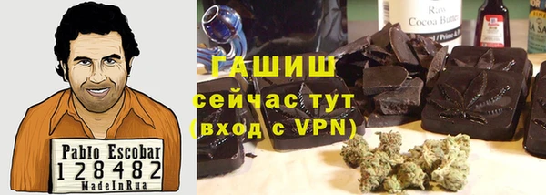 PSILOCYBIN Алзамай