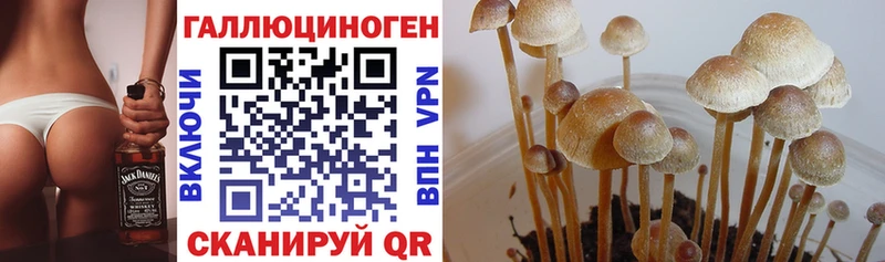 маркетплейс формула  Арамиль  Галлюциногенные грибы мицелий 